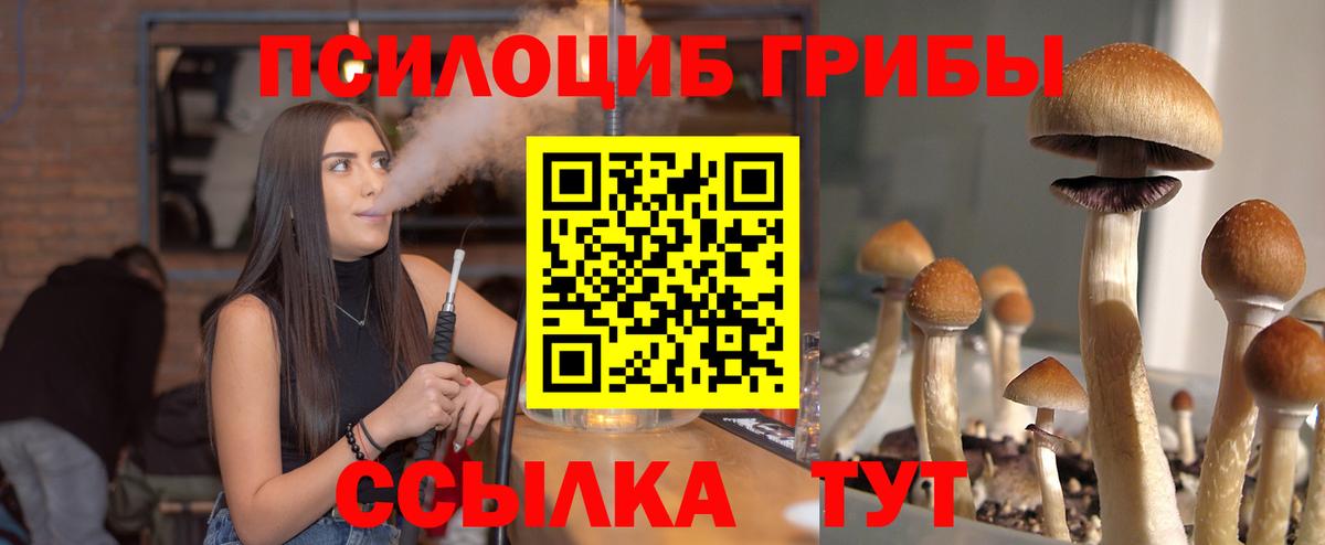 Галлюциногенные грибы Psilocybe  Вход с VPN  Белебей 